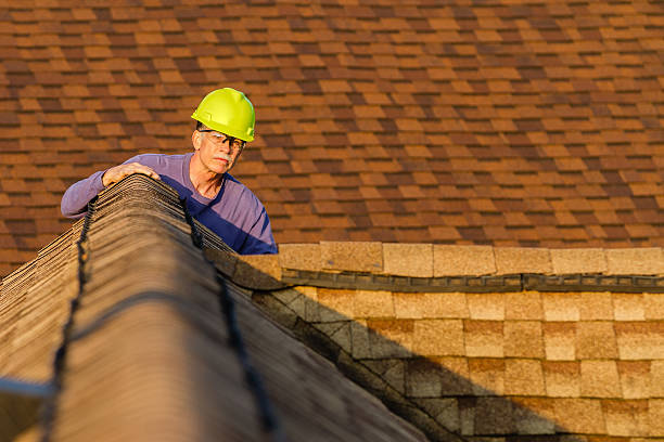 Best Storm Damage Roof Repair  in Pine Grove, PA