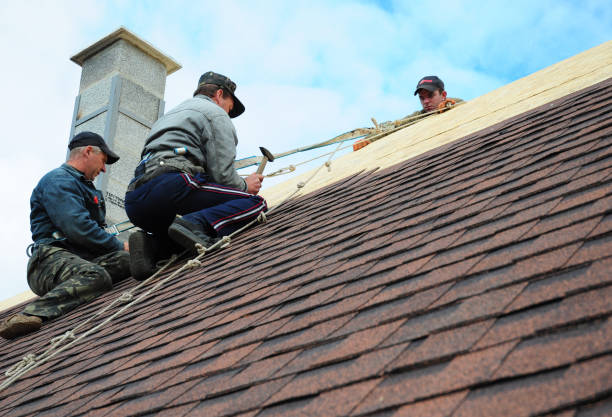 Quick and Trustworthy Emergency Roof Repair Services in Pine Grove, PA